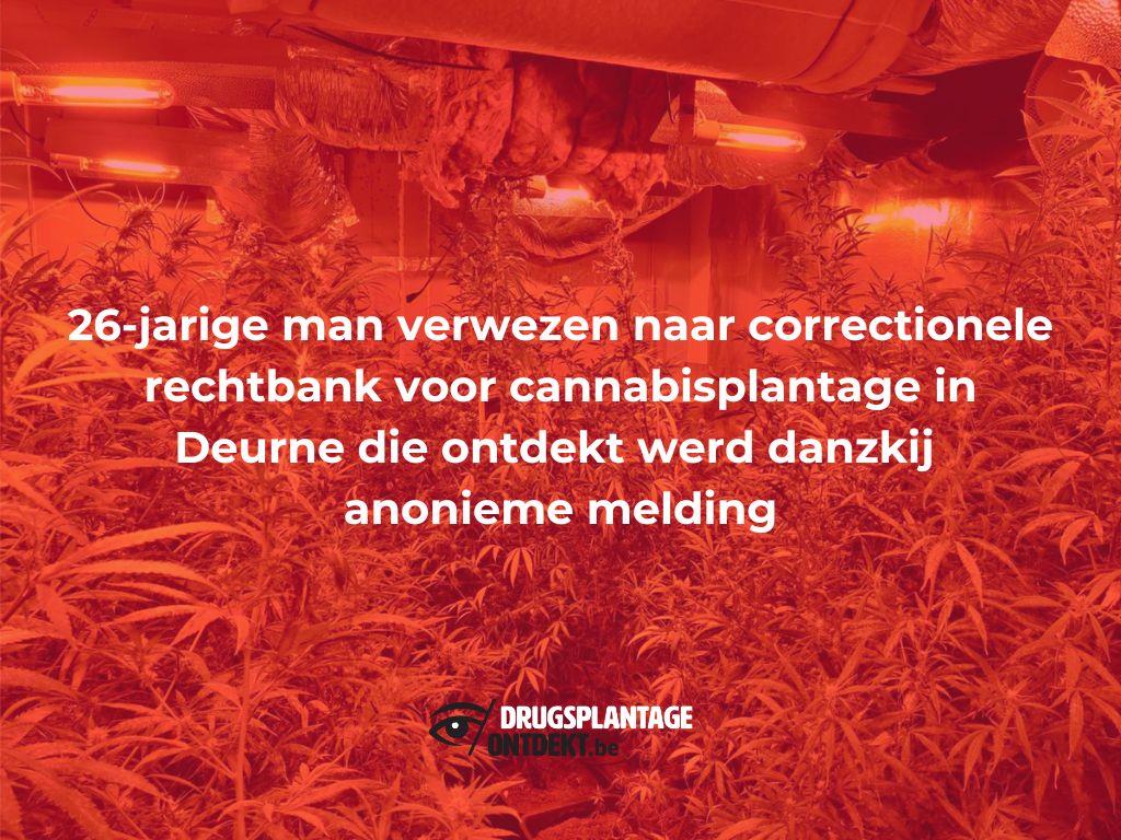 Deurne - Man verwezen naar correctionele rechtbank voor cannabisplantage